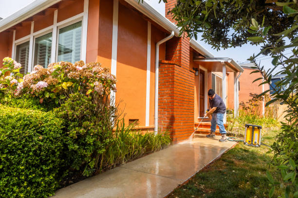 Best Pressure Washing Driveway  in Berry Hill, TN