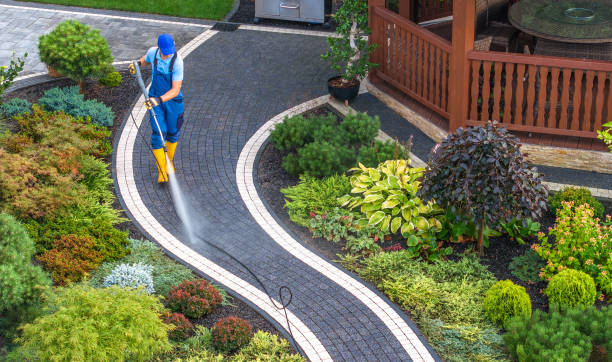 Best Local Pressure Washing Services  in Berry Hill, TN